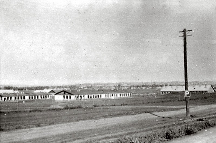 Collezione M.O.Gino Ferroni
