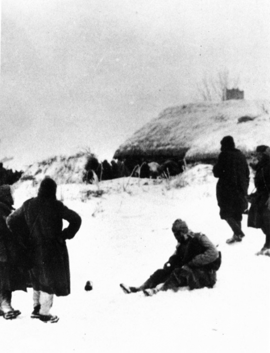 Russia Collezione Masnovo