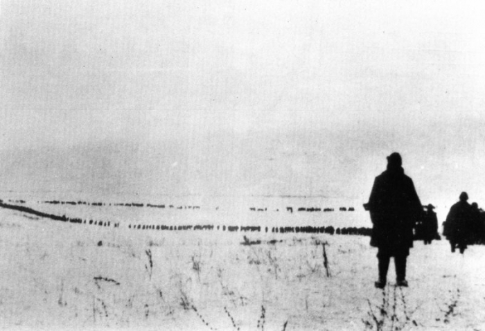 Russia Collezione Masnovo