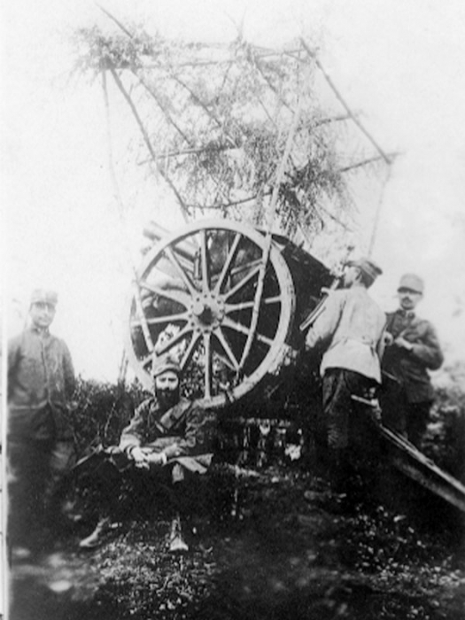 L'artiglieria nella 1° guerra mondiale