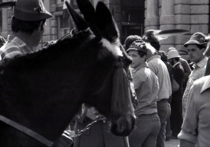 54 Adunata Naionale Verona 1981