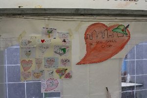 disegno_bg_01