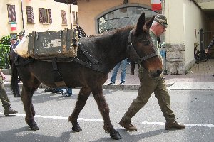 la_sfilata_bergamo_2010_marti_052