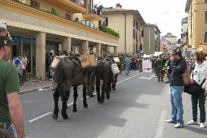la_sfilata_bergamo_2010_marti_053